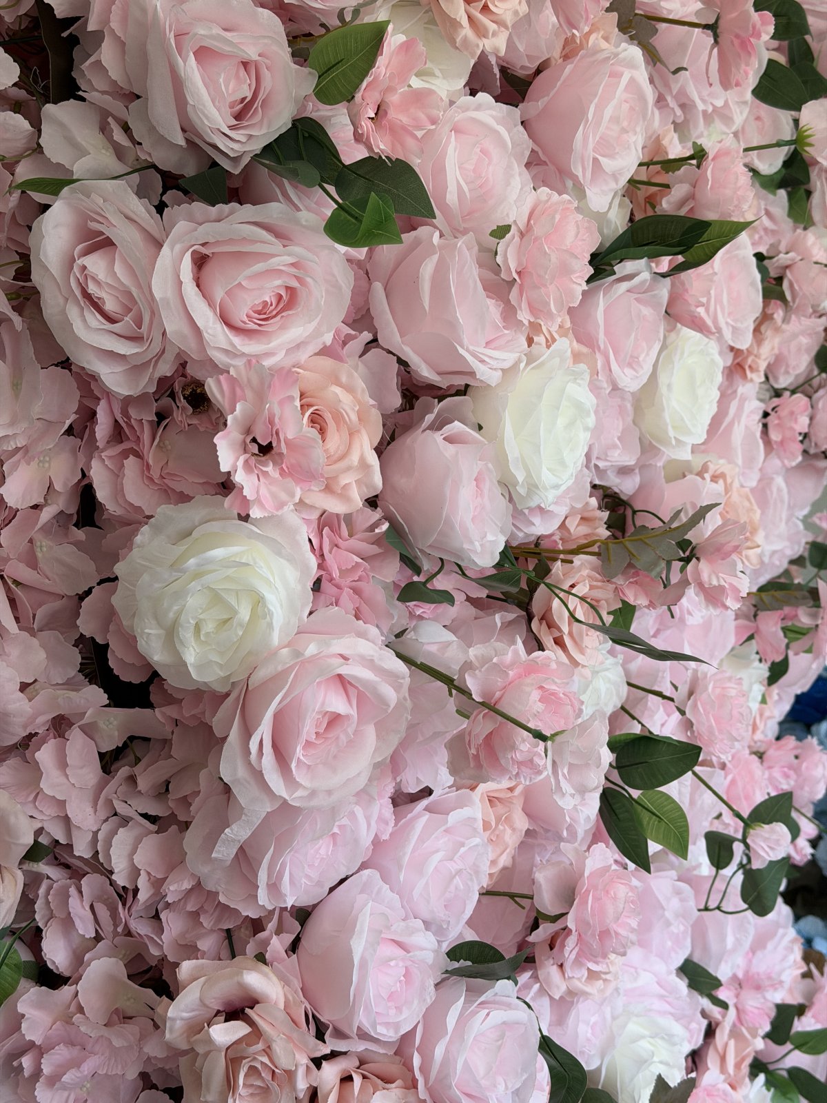 Rosa kukkaseinä 2x2m 3