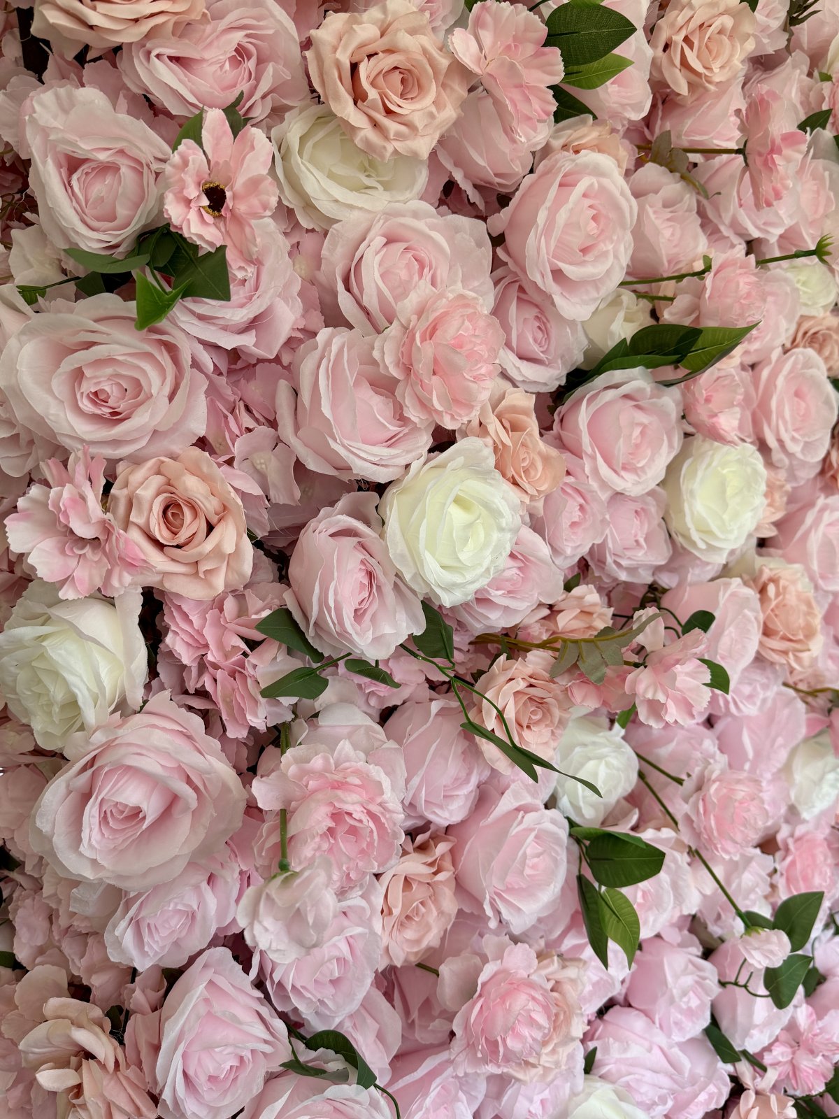 Rosa kukkaseinä 2x2m 2